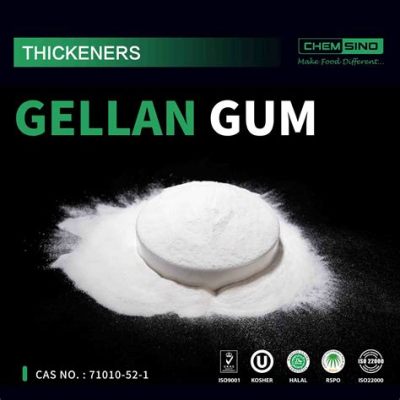  Gellan Gum: Siêu Phân Tử Tự Nhiên Cho Ngành Công Nghiệp Thực Phẩm Và Dược Phẩm!