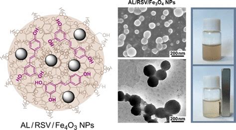  Lignin Nanoparticles:  Unlocking Sustainable Potential for Enhanced Biocomposites and Drug Delivery Systems?